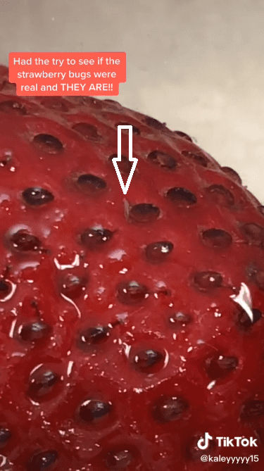 3 Fructe uscate care ajută la îmbunătățirea vederii și la refacerea coloanei