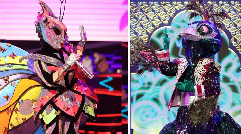 
	Duelul dintre Fluture și Păun. Cine și-a câștigat locul în finala Masked Singer România
